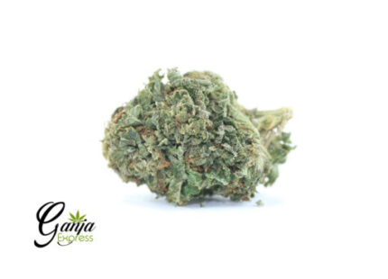 $89 Oz – $100 OG Kush