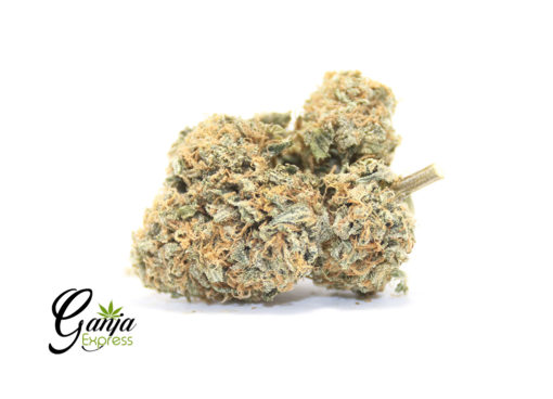 149-HOUSE-SATIVA-2-1-510x368-1.jpg