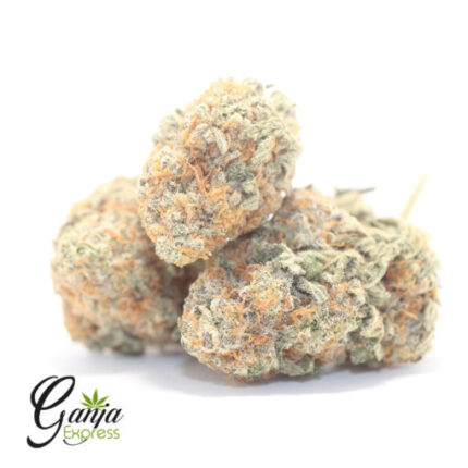 $75 Oz – Animal Cookies