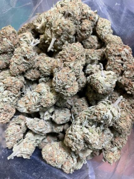 Kootenay Garden’s – Alice in Wonderland