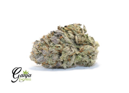 Black Diamond – 7G
