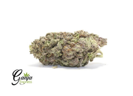 Black Mamba #2 (Bulk)