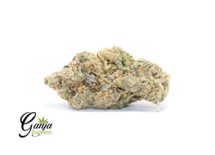 Blue Cheese – 7G