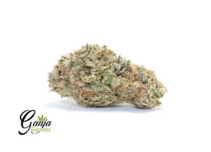Blue Comatose – 7G