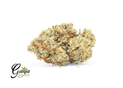 Citrus Sunshine Haze