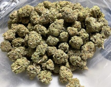 Kootenay Garden’s – Cherry Kush