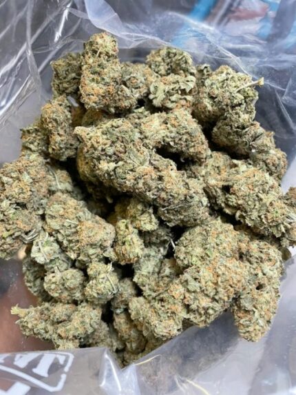 Kootenay Garden’s – Cake Face