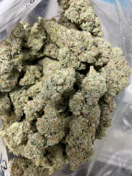 Kootenay Garden’s – Cinderella’s Dream