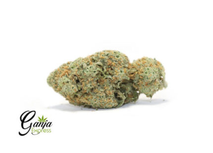 $99 Oz – Duke Nukem