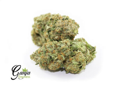 Lemon Meringue (Bulk)