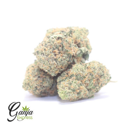 $82 Oz – Gary Paton