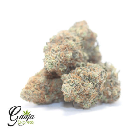 $75 Oz – Gelato 45