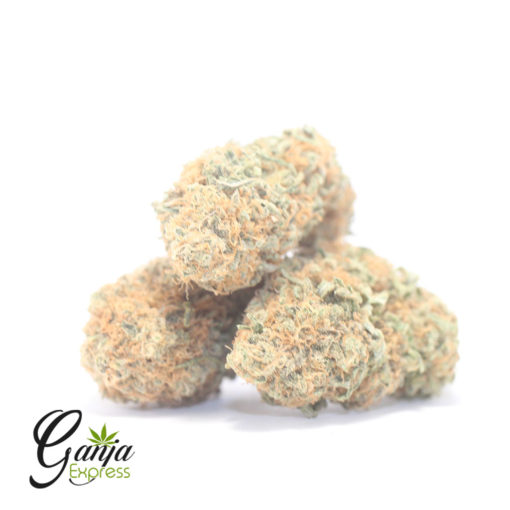 GELATO-DREAM-510x510-4.jpg