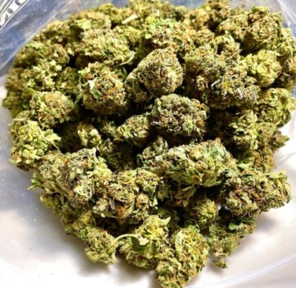 Kootenay Garden’s – Godfather OG