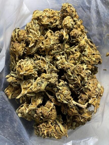 Budget $43 Oz – Greenhouse Tally Mon