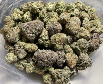 Kootenay Garden’s – God’s Green Crack