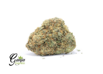 Gorilla Cookies (Bulk)