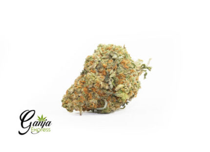 Super Cookies (Bulk)