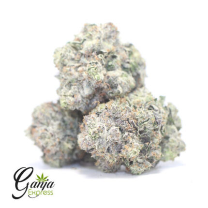 Greenstar Farms Bruce Banner