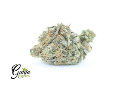 Greenstar Farms Master Bubba (Bulk)