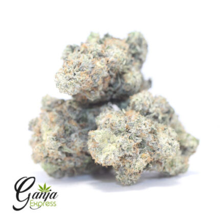 Greenstar Farms Rockstar