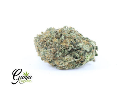 Greenstar Farms Rockstar Kush (Bulk)