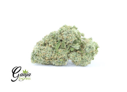 Greenstar Farms Space Candy (Bulk)