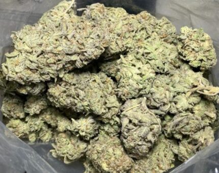 Kootenay Garden’s – Gelato Dream