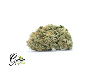 Hindu’s Bubba #2 (Bulk)