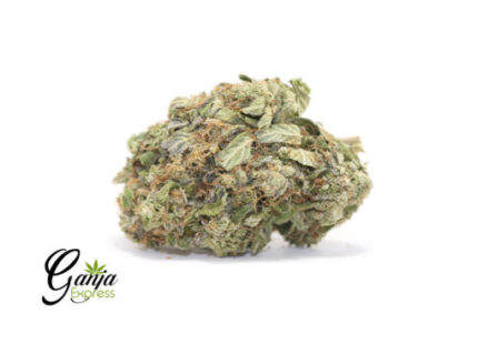 $109 Oz – Hubba Bubba
