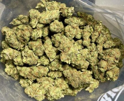 Budget $61 Oz – Humboldt Dream