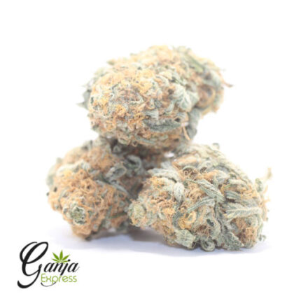 $72 Oz – Ice Wreck