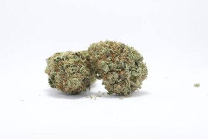 Purple Buddha (Bulk)