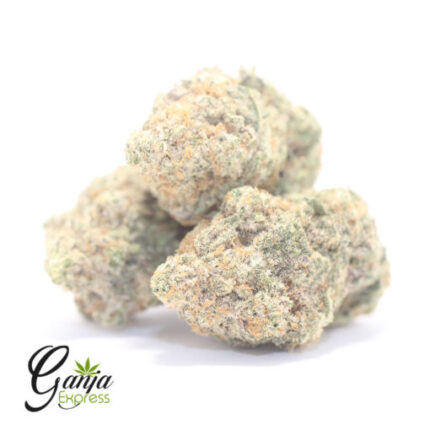 Miracle Alien Cookies