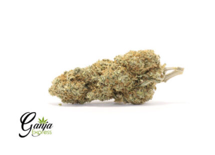 $99 Oz – Minty Kush