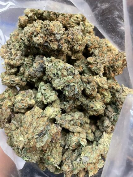 Kootenay Garden’s – Mob Boss