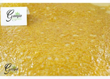 Rockstar Tuna Shatter