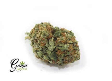 Wild OG Kush  (Bulk)