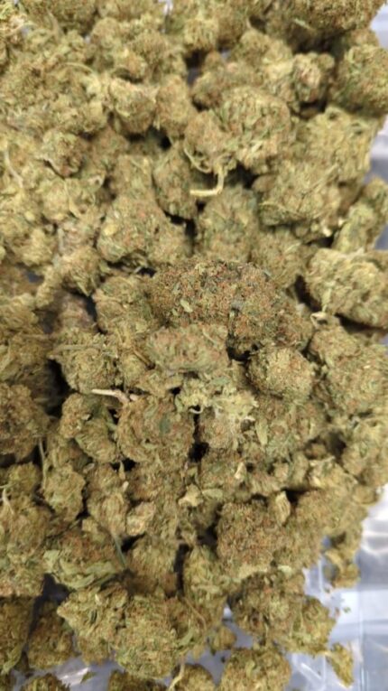 Kootenay Garden’s – Orange Afghani