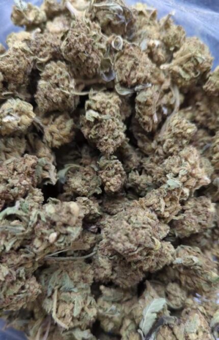 Kootenay Garden’s – Hulkamania