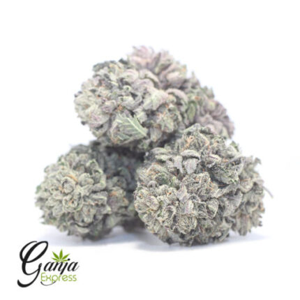 $82 Oz – Phantom Cookies