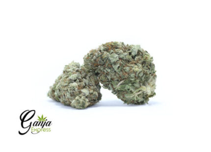 House Pineapple Express #2 (Bulk)