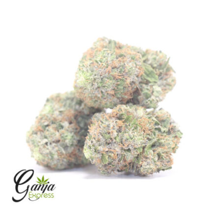 $95 Oz – Pink Bubba