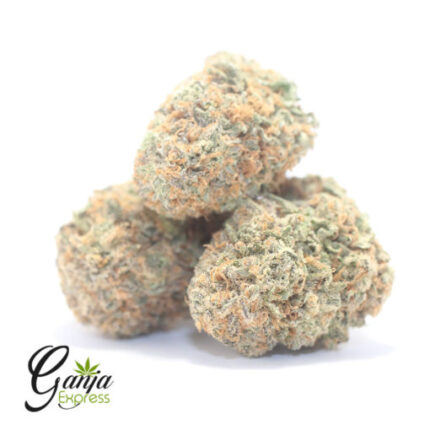 $75 Oz – Platinum GSC