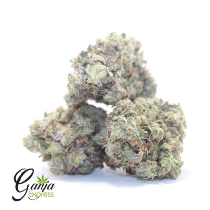 $77 Oz – Predator Pink