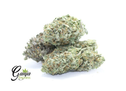 Emily’s Purple Bubba (Bulk)