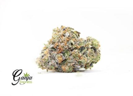 Purple Rockstar (Bulk)