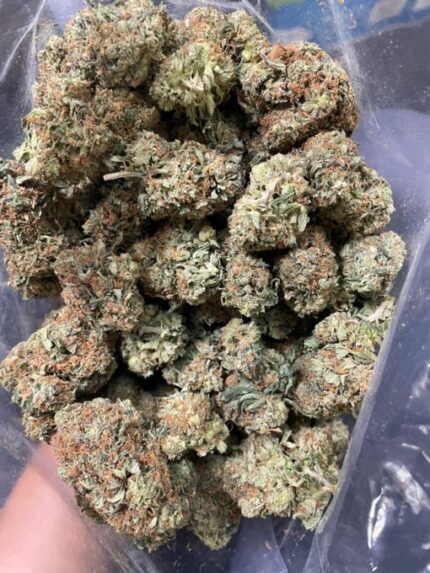 Kootenay Garden’s – Peanut Butter Cup