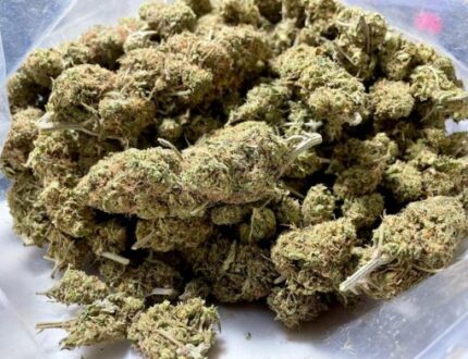 Kootenay Garden’s – Pearl Scout Cookies