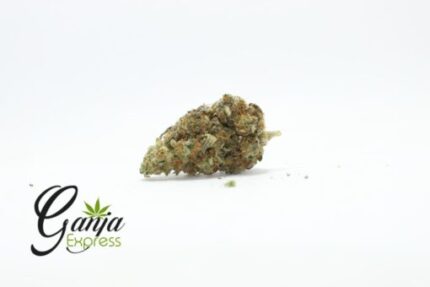 Platinum Berry AAA+ (Bulk)